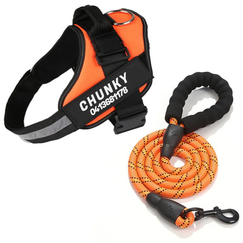 Personalized Dog Harness