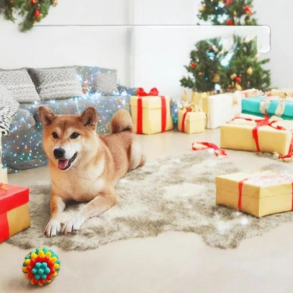 Robust Rubber Chew Ball for Dogs