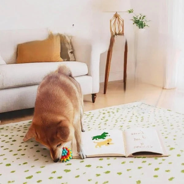 Robust Rubber Chew Ball for Dogs