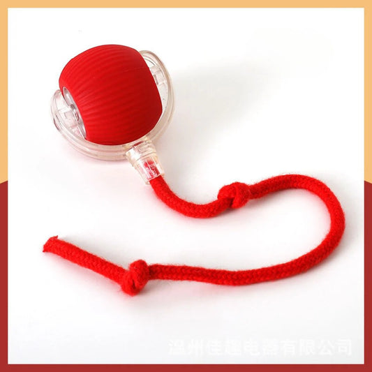 Interactive Ball Toy with Swan