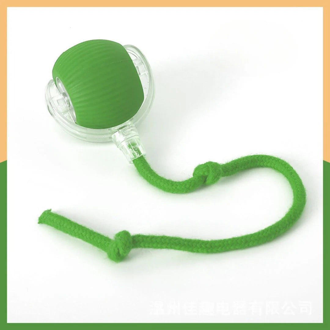 Interactive Ball Toy with Swan