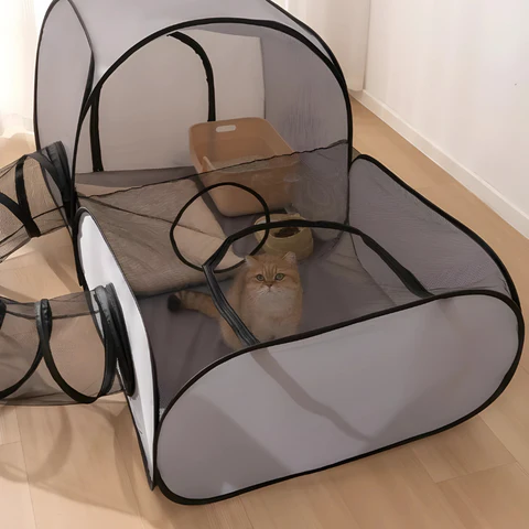Paw Tunnel
