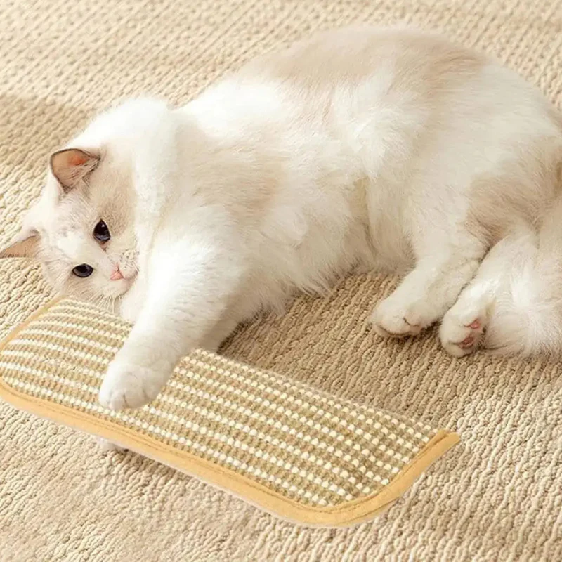 Cat Play Pillow With Catnip