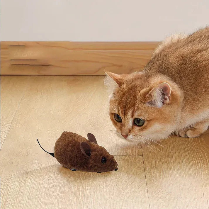 Interactive mouse toy for cats